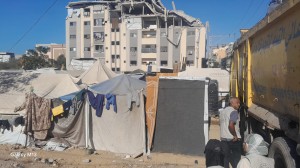 WhatsApp Image 2025-10-26 at 19.32.24