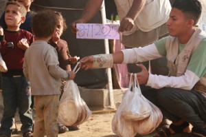 WhatsApp Image 2025-11-08 at 21.17.51